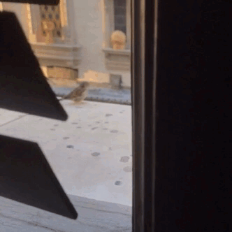 tumblr fecee527bd17f9a0053fc109cca07129 74b6a877 640