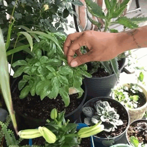 tumblr pl0el6ej7s1svm82w 540