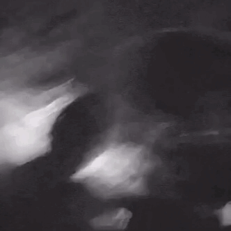 tumblr pl0ojoetm51svm82w 540